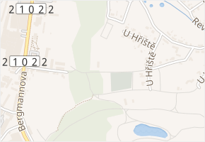 Hřbitovní v obci Dolní Rychnov - mapa ulice