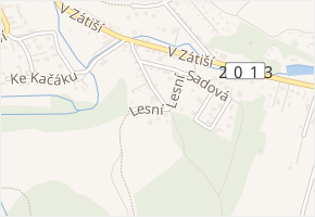 Lesní v obci Družec - mapa ulice