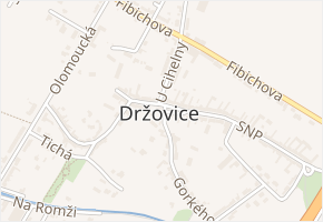 Levandulová v obci Držovice - mapa ulice