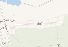 Polní v obci Dubňany - mapa ulice