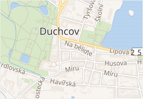 Bednářská v obci Duchcov - mapa ulice