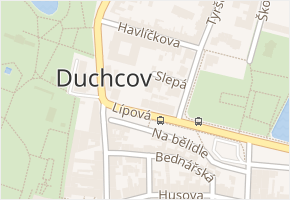 Lípová v obci Duchcov - mapa ulice