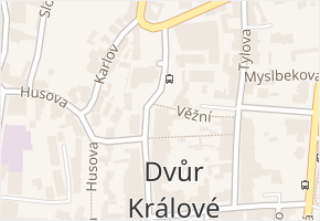 Palackého v obci Dvůr Králové nad Labem - mapa ulice