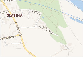 V Břízách v obci Františkovy Lázně - mapa ulice