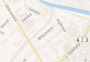 Březinova v obci Frýdek-Místek - mapa ulice