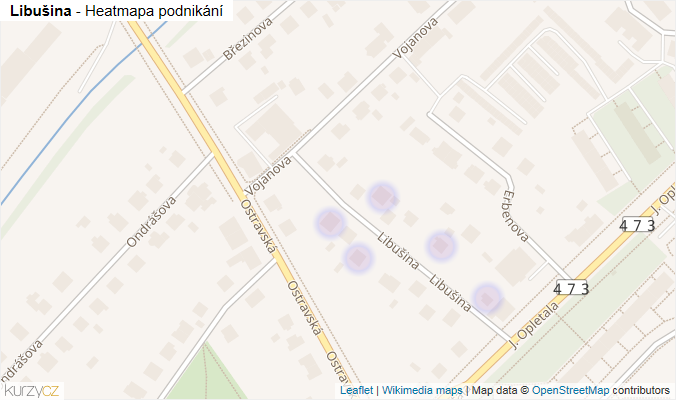 Mapa Libušina - Firmy v ulici.