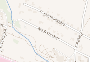 Na Bažinách v obci Frýdek-Místek - mapa ulice