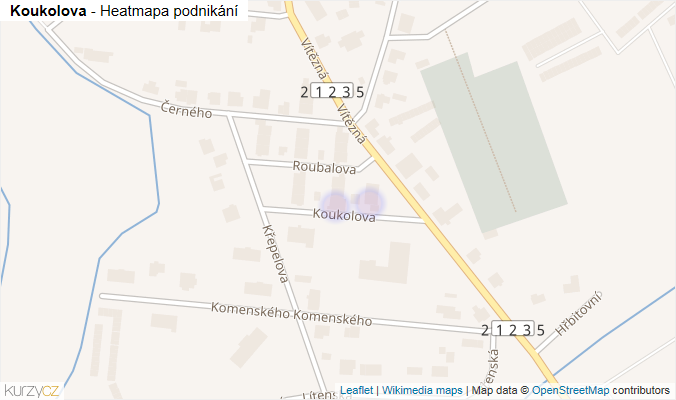 Mapa Koukolova - Firmy v ulici.