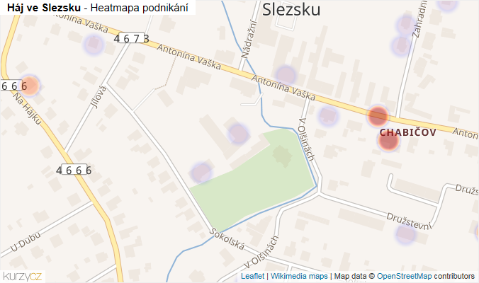 Mapa Háj ve Slezsku - Firmy v obci.