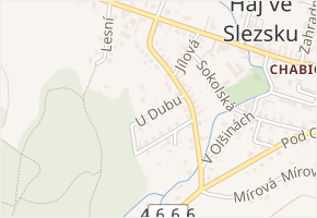 U Dubu v obci Háj ve Slezsku - mapa ulice