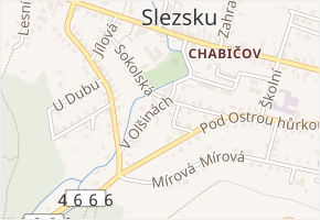 V Olšinách v obci Háj ve Slezsku - mapa ulice