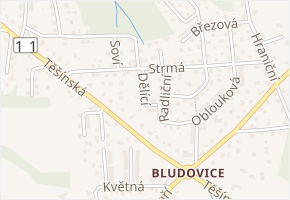 Dělící v obci Havířov - mapa ulice