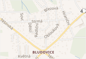 Javorová v obci Havířov - mapa ulice