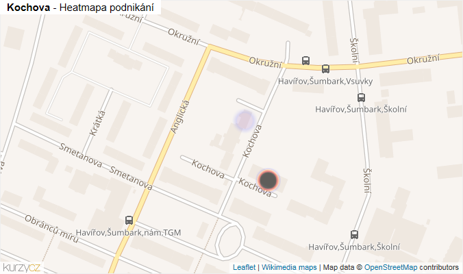 Mapa Kochova - Firmy v ulici.