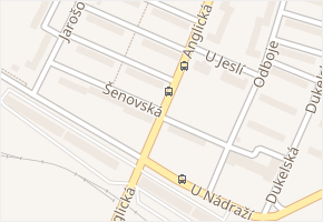 Šenovská v obci Havířov - mapa ulice