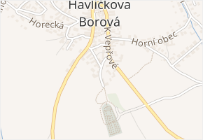 Dlážděná v obci Havlíčkova Borová - mapa ulice