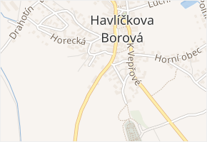 Havlíčkova v obci Havlíčkova Borová - mapa ulice