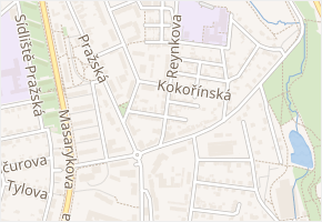 Brigádnická v obci Havlíčkův Brod - mapa ulice