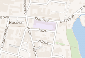 Kozí v obci Havlíčkův Brod - mapa ulice