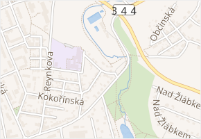 Nad Rybníkem v obci Havlíčkův Brod - mapa ulice