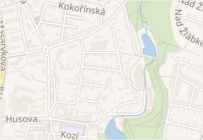 Nad Sady v obci Havlíčkův Brod - mapa ulice