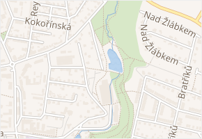 Nad Stadionem v obci Havlíčkův Brod - mapa ulice