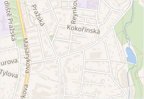Reynkova v obci Havlíčkův Brod - mapa ulice