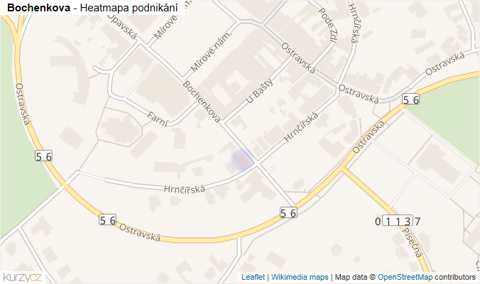 Mapa Bochenkova - Firmy v ulici.