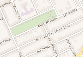 Pr. Veselého v obci Hodonín - mapa ulice