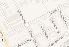 Žižkova v obci Hodonín - mapa ulice