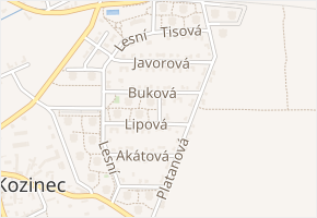 Borová v obci Holubice - mapa ulice