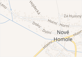 Dolní v obci Homole - mapa ulice