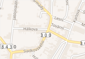 Hálkova v obci Hořice - mapa ulice