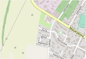 Žitná v obci Horšovský Týn - mapa ulice