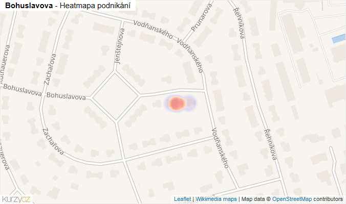 Mapa Bohuslavova - Firmy v ulici.