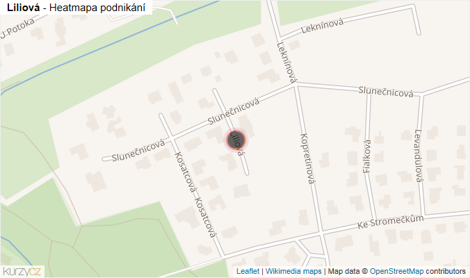 Mapa Liliová - Firmy v ulici.