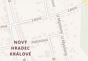 Lesní v obci Hradec Králové - mapa ulice