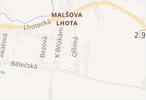 Olšová v obci Hradec Králové - mapa ulice