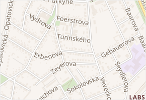 Turinského v obci Hradec Králové - mapa ulice