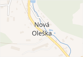 Nová Oleška v obci Huntířov - mapa části obce