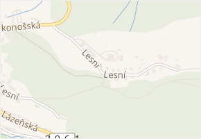 Lesní v obci Janské Lázně - mapa ulice
