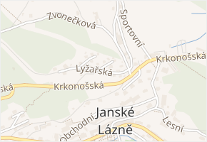 Lyžařská v obci Janské Lázně - mapa ulice