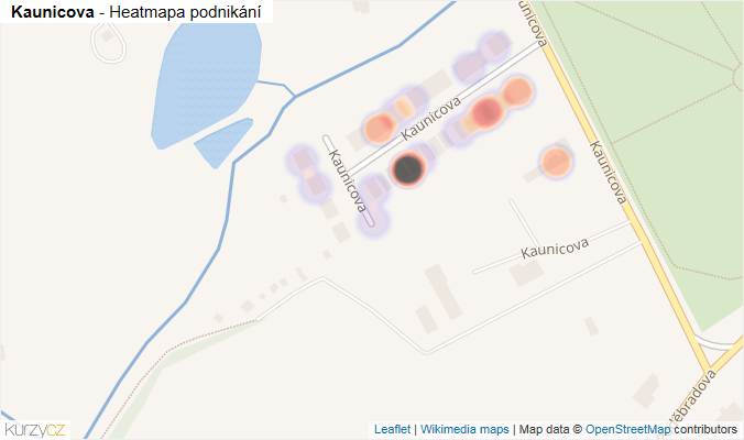 Mapa Kaunicova - Firmy v ulici.