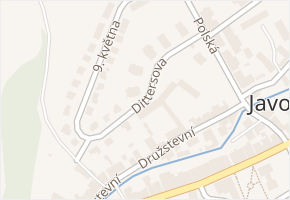 Dittersova v obci Javorník - mapa ulice