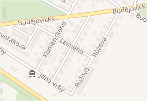 Boženy Němcové v obci Jemnice - mapa ulice