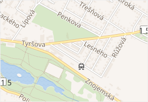 Dvořákova v obci Jemnice - mapa ulice