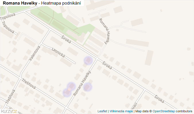 Mapa Romana Havelky - Firmy v ulici.