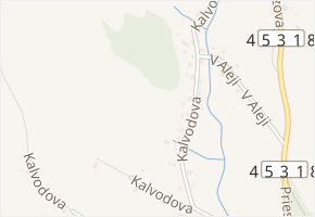 Kalvodova v obci Jeseník - mapa ulice