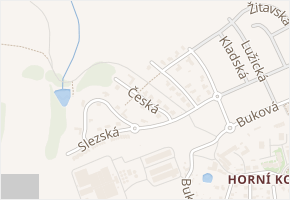 Česká v obci Jihlava - mapa ulice