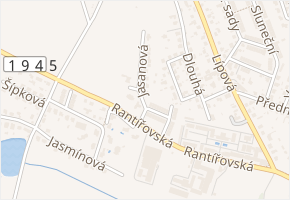 Jasanová v obci Jihlava - mapa ulice